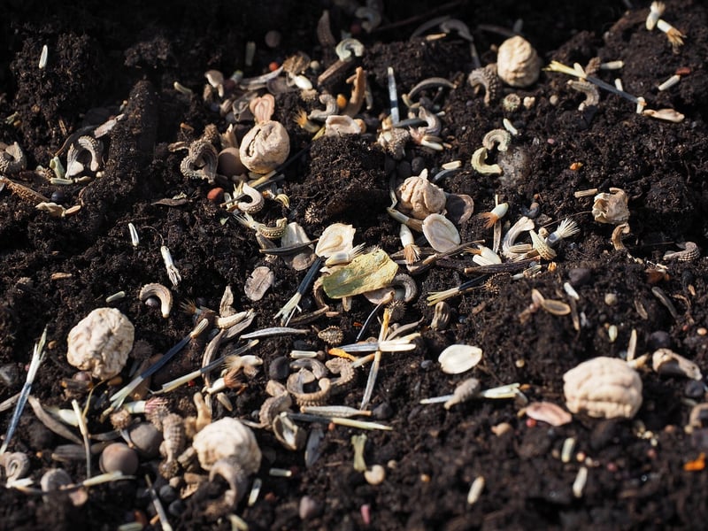 Potting Mix