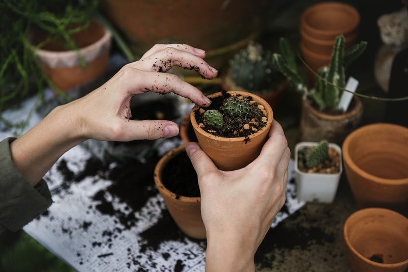 Seasonal Planting