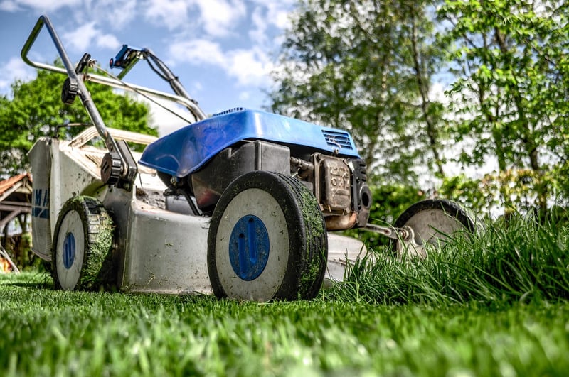Garden Pruning